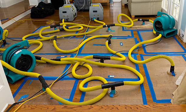 Professional Burst Pipe Water Damage technician working in Forreston, IL