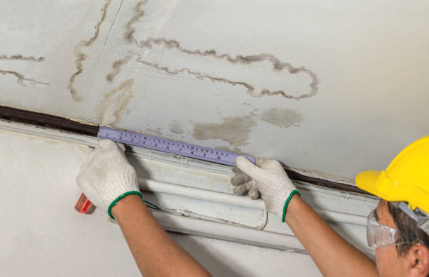 Affordable Burst Pipe Water Damage solutions in Forreston, IL